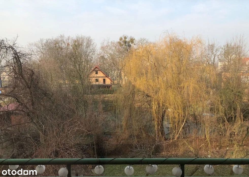 Psie Pole, wroclaw — photo 8